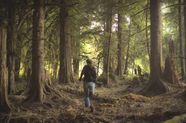 3699448073_8de50758be_b1