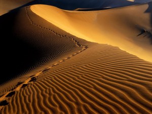 footprints-namib-desert-namibia-africa-backgrounds-wallpapers
