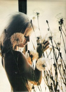 tumblr_m3mnjmMQbV1r3a6jho1_r1_400