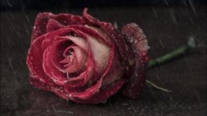 179978_476617189015848_1063520908_n