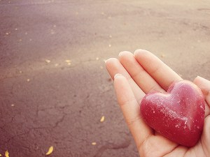 3956382501_367a76bcb0